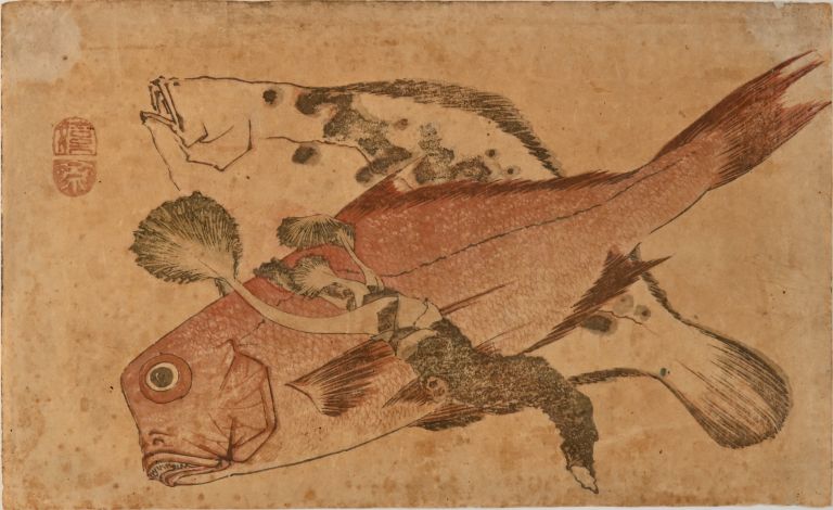 AUJ 74_Inv. 4845_Lipparini 2024_CD MM 119